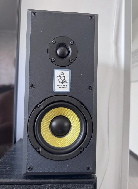 Il woofer montato nella mia Music Essence: fotografia del progetto.
